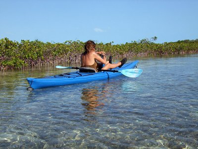 Kayaking Through Mangroves 10
