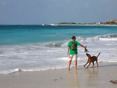 Walking the Dog Grace Bay Beach 03