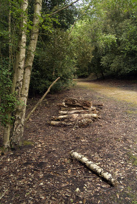 Logs by Path Fowlmead