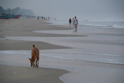 Early Morning on Benaulim Beach