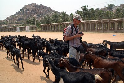 Chris Amongst the Goats