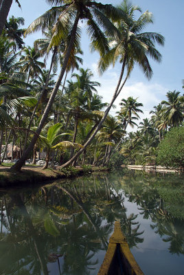 Keralan Backwaters