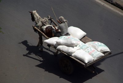 Horse-Drawn Cart