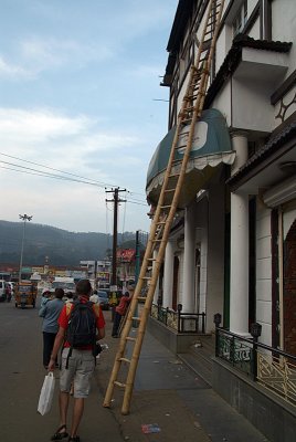 Bamboo Ladder