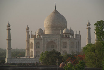 The Splendour of the Taj.jpg