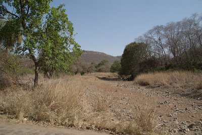In the National Park