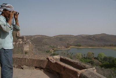 Looking out over Ranthambore