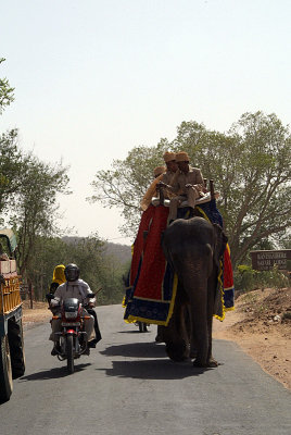 Overtaking the Elephant