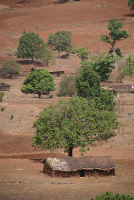 Trees and Houses