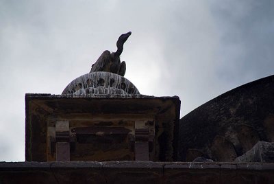 Silhouette of Indian Vulture on Chhatris