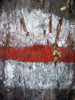7/1/06 Painted Tree