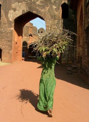 Carrying Sticks