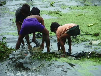 In the Muck