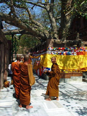 Monks with Cameras