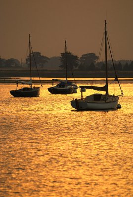 Three Boats