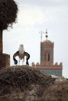 El Badi Palace