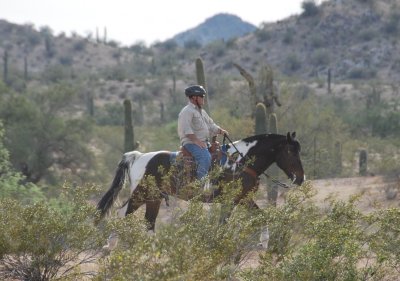 Horse 2.0