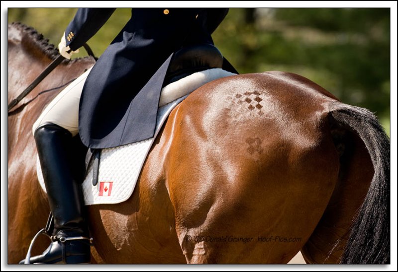 Rolex-08-Dres_D3N_2011.jpg
