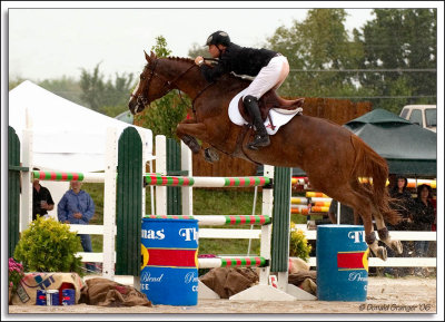 St. Louis Charity Show - Grand Prix