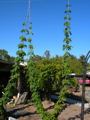 DSCN1903.JPG
