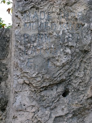 IMG_4937.jpg