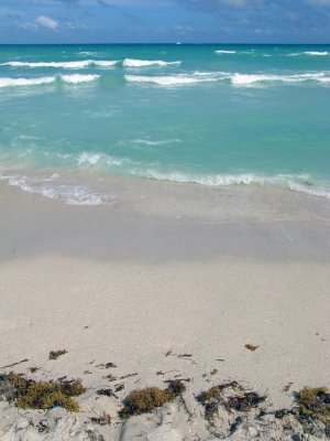Went for a swim at Miami Beach (Art Deco district) - IMG_4993.jpg