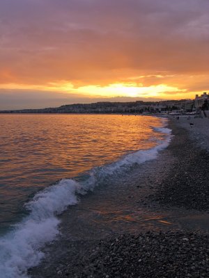 IMG_7846.jpg