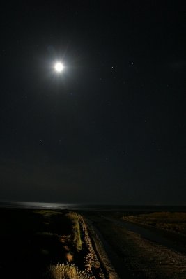 Moonlight & Gemini at Ocean Shores, WA - IMG_2128.jpg