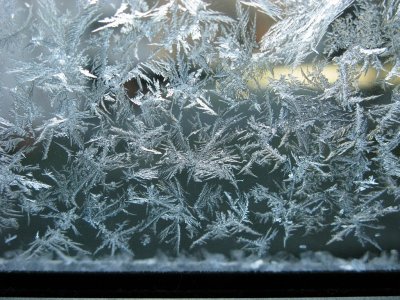 Amazing frosts this year - IMG_7745.jpg