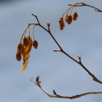 IMG_1591.jpg