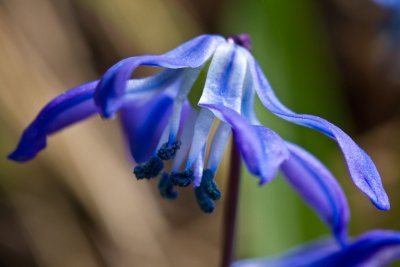 IMG_1211.jpg