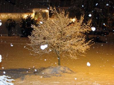 2005-12 - First Snow! - IMG_0314.jpg