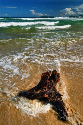 floripa praia