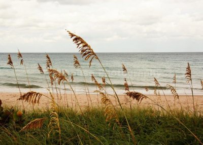 IMG_4326.jpg