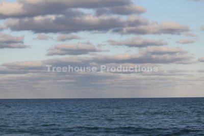 IMG_0300.JPG