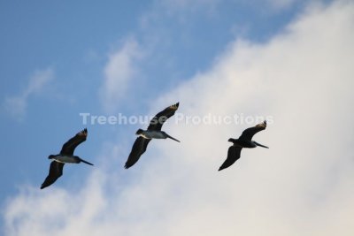 IMG_0301.JPG