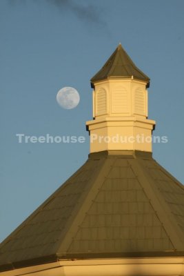 IMG_0348.JPG