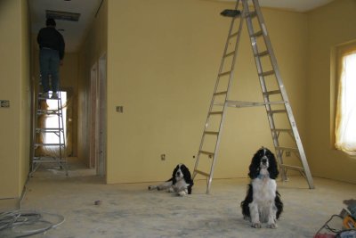 Benny and Walter are always right there to lend a helping paw as needed