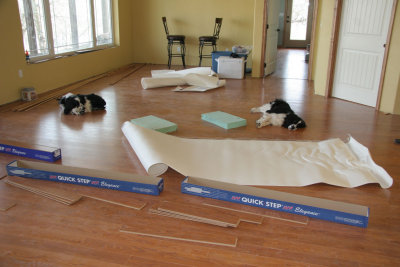 Benny and Walter try out the new flooring