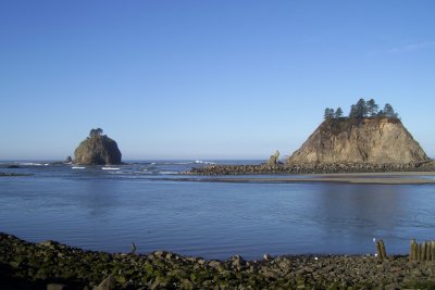 15-Jan-2009
Rialto Beach