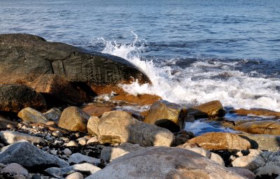 DSC_1035.jpg