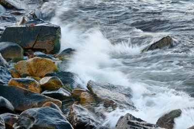 DSC_1049.jpg