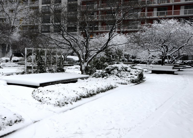 Winter Snow