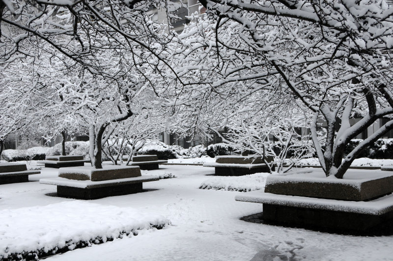 Winter Snow