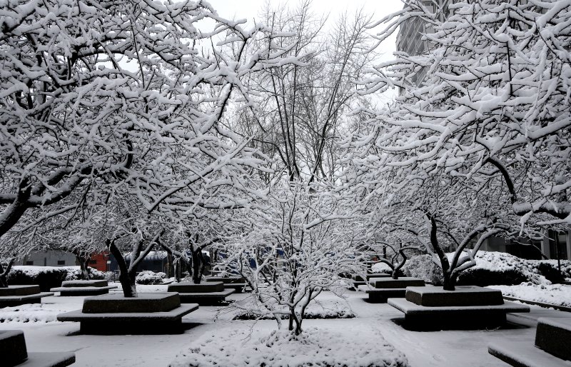 Winter Snow