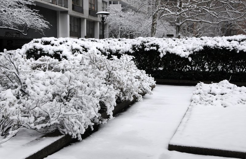 Winter Snow