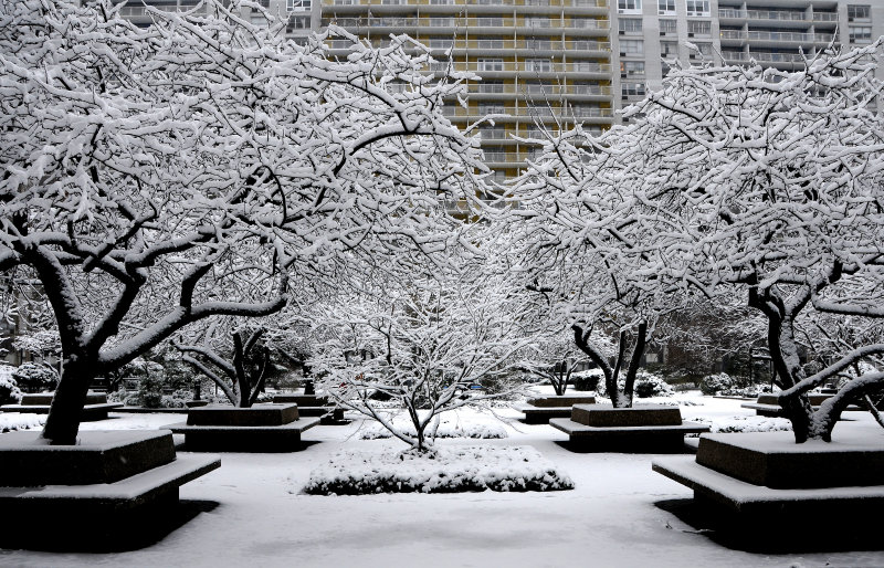 Winter Snow