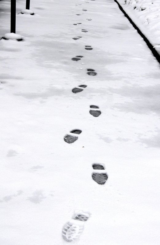 Winter Snow