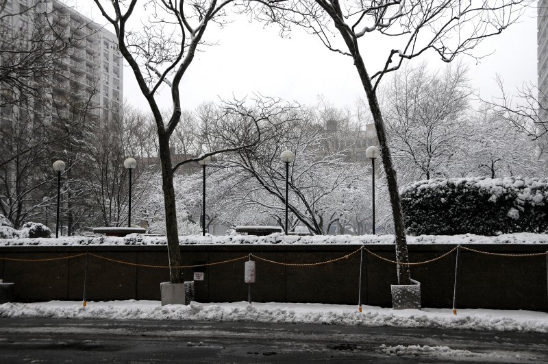 Winter Snow