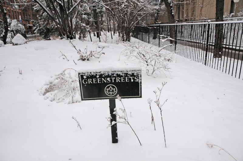 Winter Snow - LaGuardia Place Time Landscape Garden